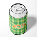 Fall Pumpkin Spice Gingham Can or Bottle Hugger Cooler Sleeve for Standard 12 oz Cans, Insulated Foam Beer & Soda Can Hugger Reusable