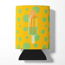 Ice Pop Popcicle Orange Green Can or Bottle Hugger Cooler Sleeve for Standard 12 oz Cans, Insulated Foam Beer & Soda Can Hugger Reusable