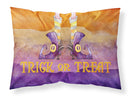 Halloween Trick Witches Feet Standard Pillowcase Lightweight Super Soft Easy Care Decorative Artwork Pillowcase, Standard