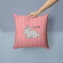 Nursery Love Bunny Rabbit Throw Pillow - 14x14 Decorative Pillow – Art for Your Home & Patio BB7476PW1414