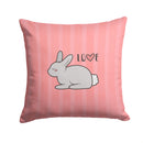 Nursery Love Bunny Rabbit Throw Pillow - 14x14 Decorative Pillow – Art for Your Home & Patio BB7476PW1414