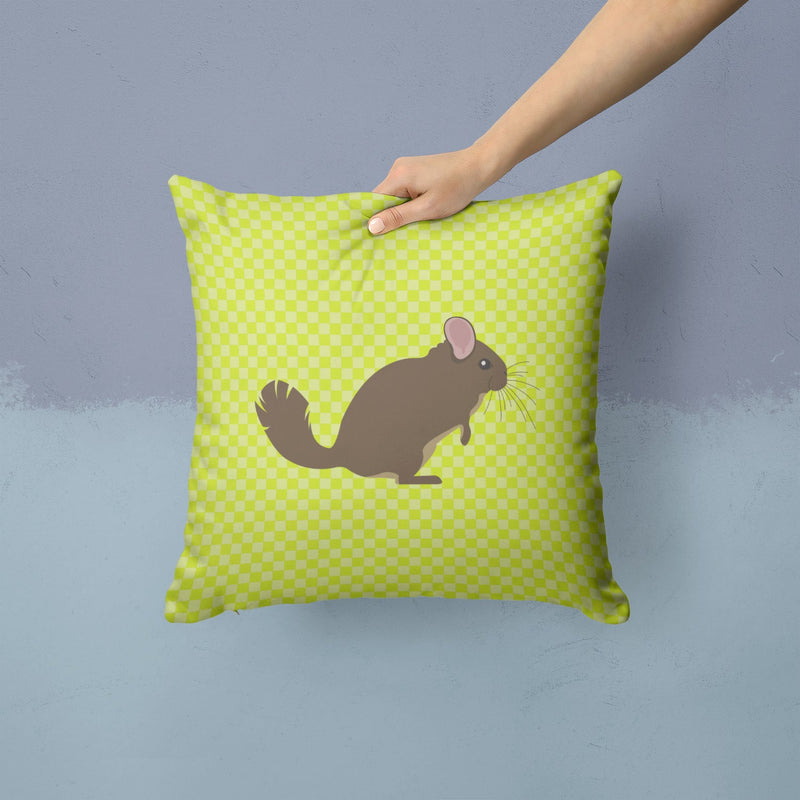 Chinchilla Green Fabric Decorative Pillow BB7701PW1414