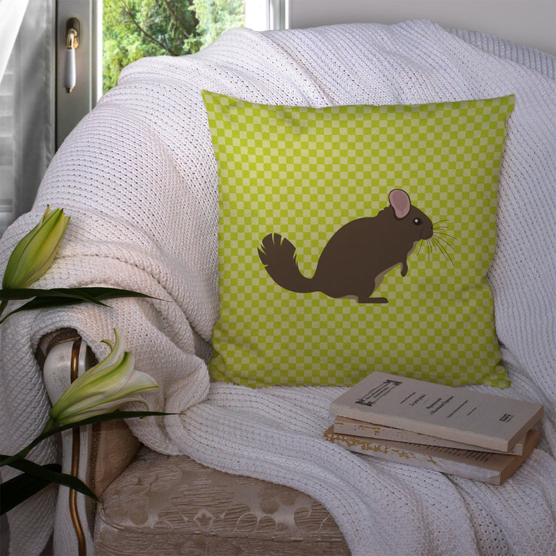 Chinchilla Green Fabric Decorative Pillow BB7701PW1414