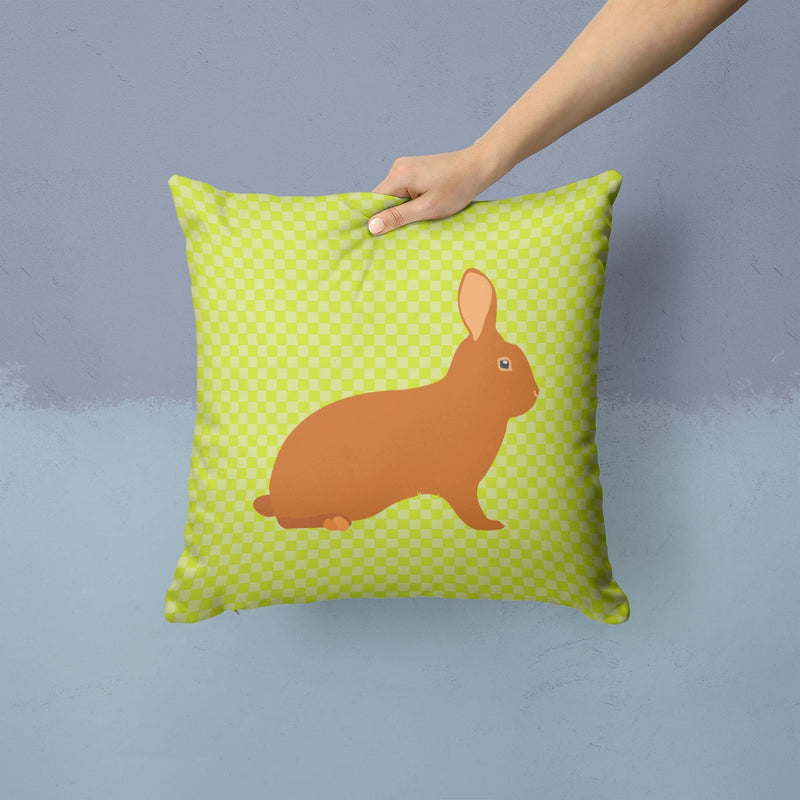 Rex Rabbit Green Fabric Decorative Pillow BB7795PW1414