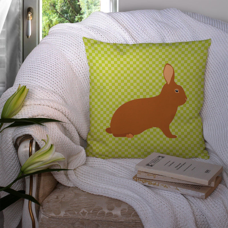 Rex Rabbit Green Fabric Decorative Pillow BB7795PW1414