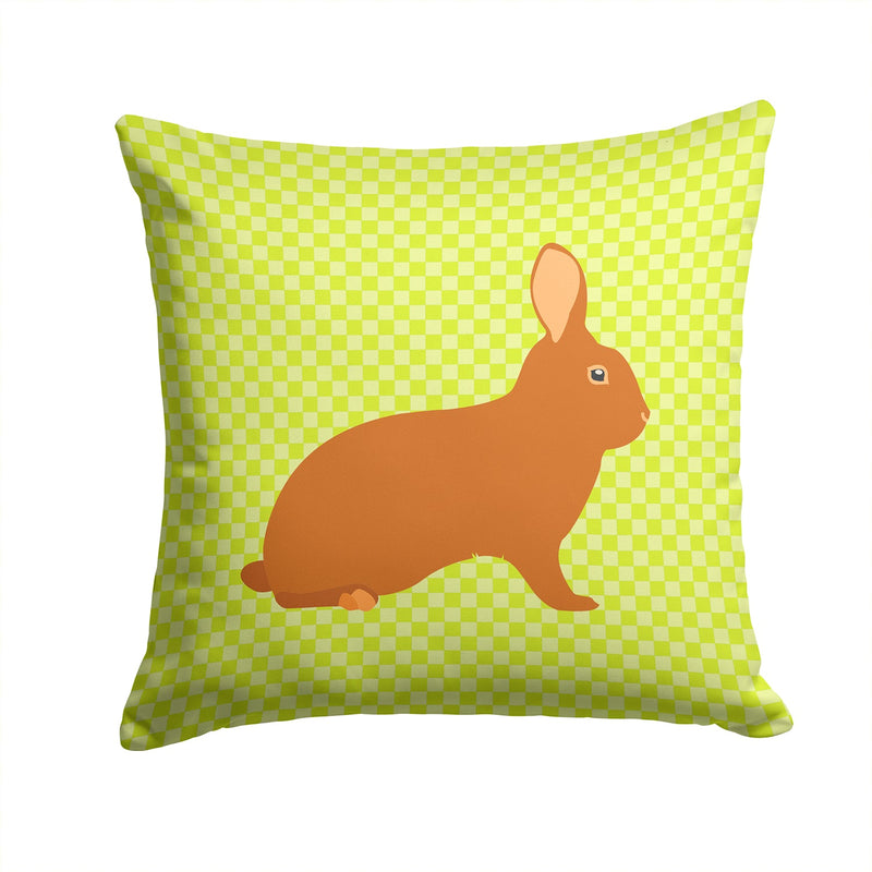 Rex Rabbit Green Fabric Decorative Pillow BB7795PW1414