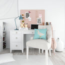 American Pekin Duck Blue Check Throw Pillow - 14x14 Decorative Pillow – Art for Your Home & Patio BB8034PW1414