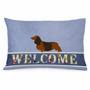 Longhaired Dachshund Welcome Standard Pillowcase Lightweight Super Soft Easy Care Decorative Artwork Pillowcase, Standard