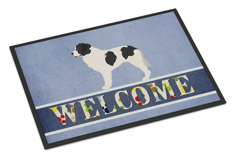 Landseer Welcome Indoor or Outdoor Mat 24x36 BB8331JMAT