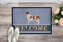 Aidi Atlas Mountain Dog Doormat - 24x36 Decorative Floor Mat – Indoor/Outdoor Rug with Artistic Flair BB8334JMAT