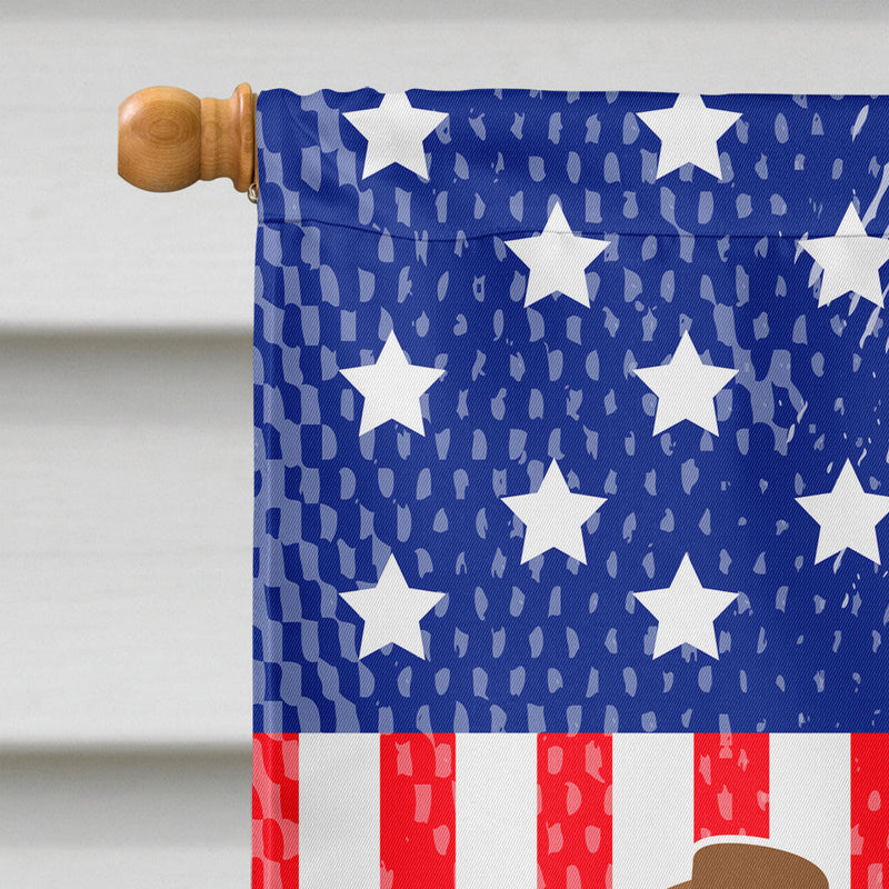 Smooth Fox Terrier American Flag Canvas House Size BB8360CHF