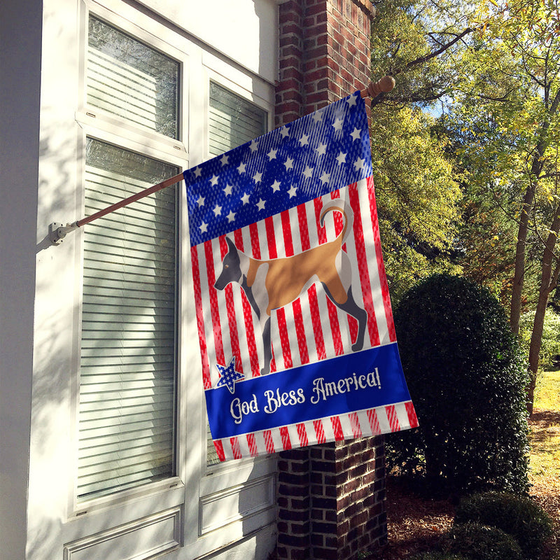 Malinois American Flag Canvas House Size BB8380CHF