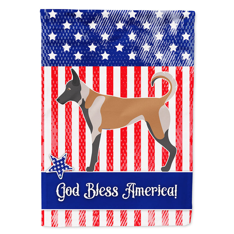 Malinois American Flag Canvas House Size BB8380CHF