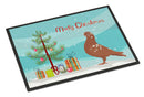 African Owl Pigeon Christmas Doormat - 24x36 Decorative Floor Mat – Indoor/Outdoor Rug with Artistic Flair BB9320JMAT