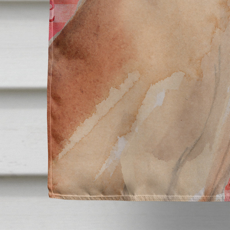 Fawn Natural Great Dane Love Flag Canvas House Size BB9489CHF