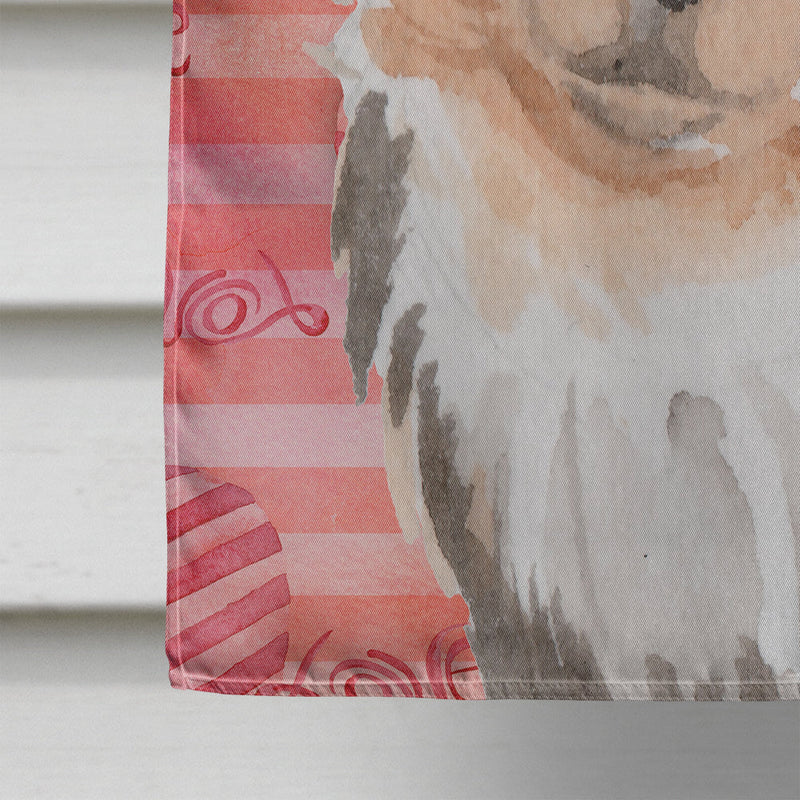 Long Haired Chihuahua Love Flag Canvas House Size BB9494CHF