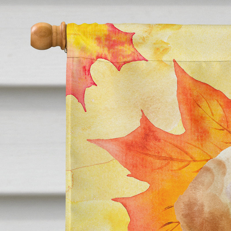 Yellow Labrador Fall Flag Canvas House Size BB9506CHF