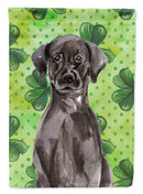 Black Labrador St. Patrick's Garden Flag - Outdoor Decorative Yard Flag BB9538GF