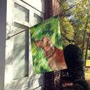 Red Tan Dachshund St. Patrick's House Flag 28x40 Porch Sleeve Pole Decorative Outside Yard Banner Artwork Wall Hanging, Polyester