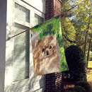Pomeranian St. Patrick's House Flag 28x40 Porch Sleeve Pole Decorative Outside Yard Banner Artwork Wall Hanging, Polyester