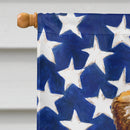 Small Brabant Griffon Patriotic House Flag 28x40 Porch Sleeve Pole Decorative Outside Yard Banner Artwork Wall Hanging, Polyester