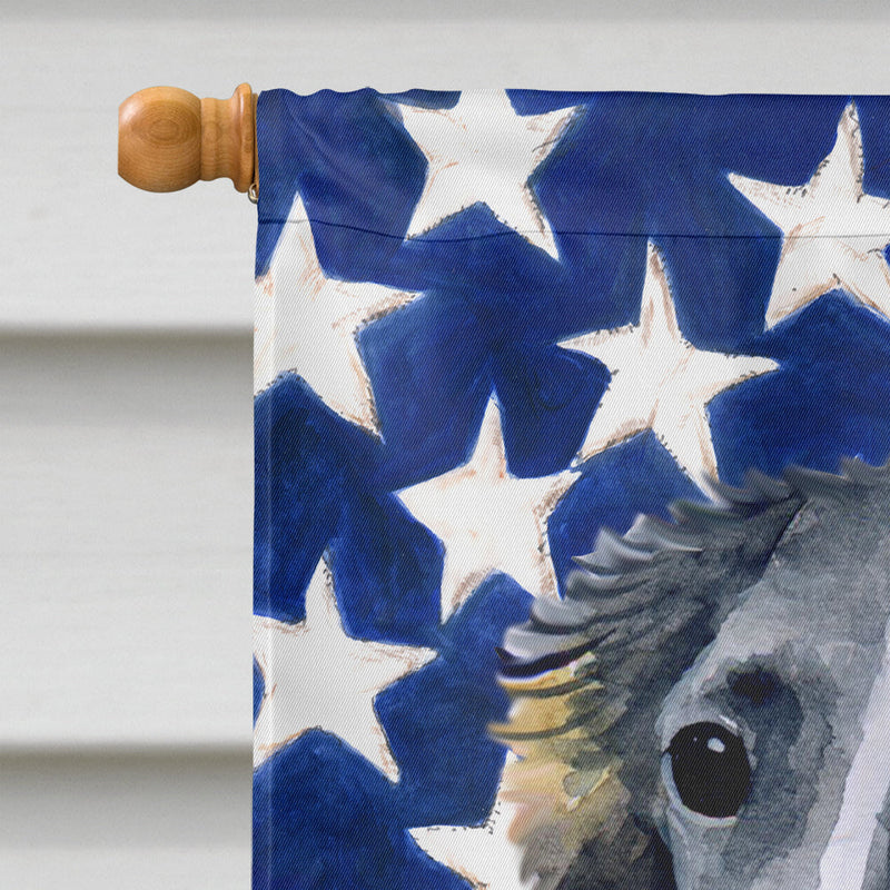 Borzoi Patriotic Flag Canvas House Size BB9672CHF