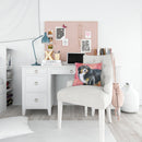 Bernese Mountain Dog Love Throw Pillow - 14x14 Decorative Pillow – Art for Your Home & Patio BB9732PW1414