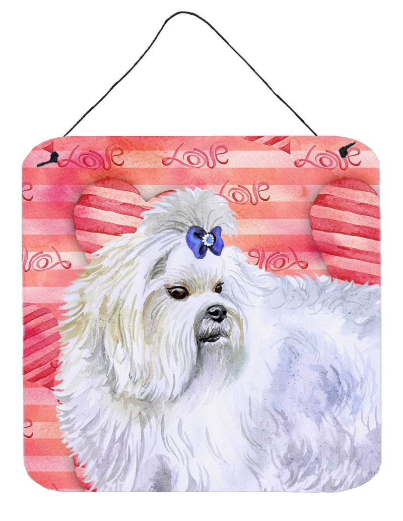 Maltese Love Wall or Door Hanging Prints BB9738DS66