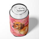 Dachshund Love Can or Bottle Hugger BB9739CC