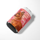 Miniature Pinscher Love Can or Bottle Hugger BB9743CC