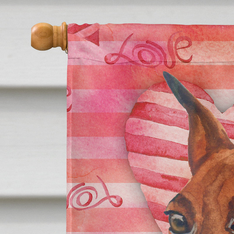 Miniature Pinscher Love Flag Canvas House Size BB9743CHF