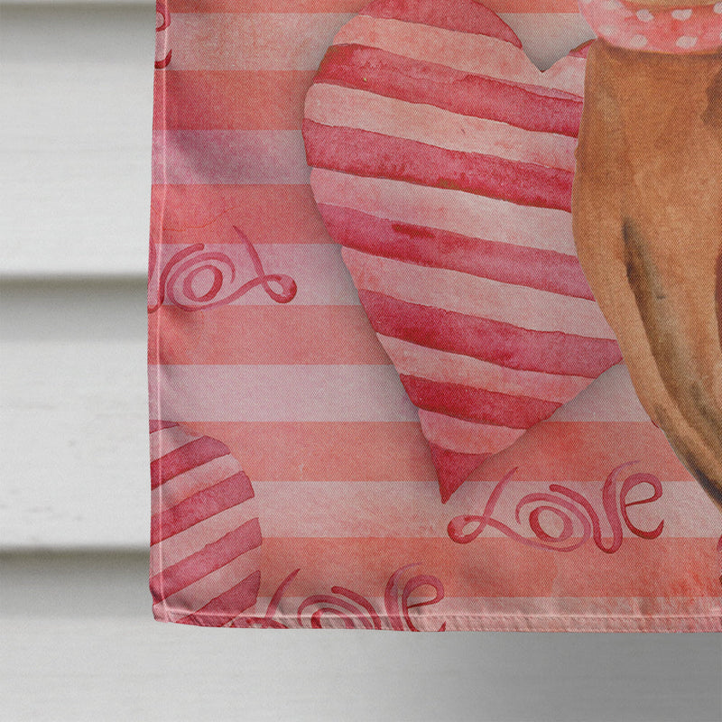 Miniature Pinscher Love Flag Canvas House Size BB9743CHF