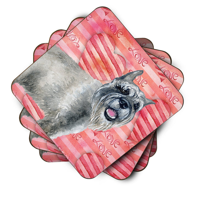 Schnauzer Love Foam Coaster  BB9749FC