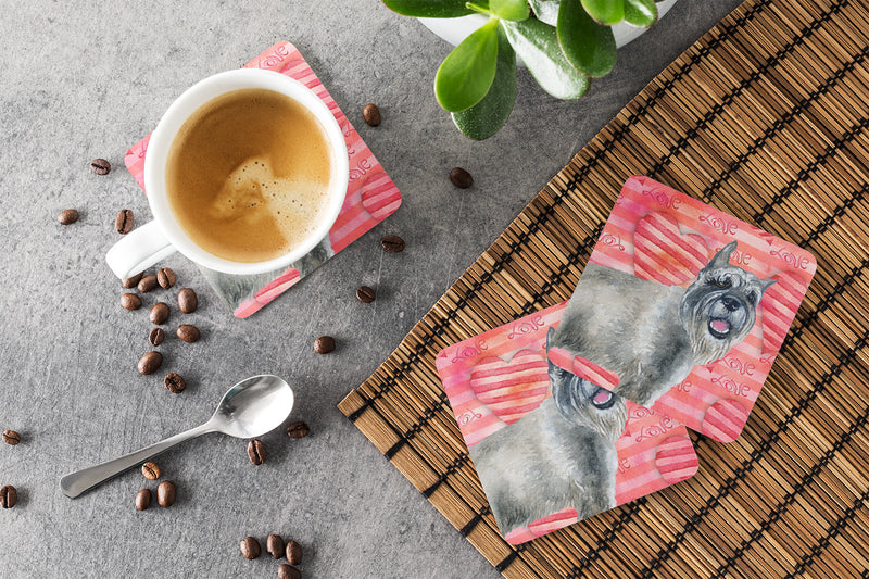 Schnauzer Love Foam Coaster  BB9749FC