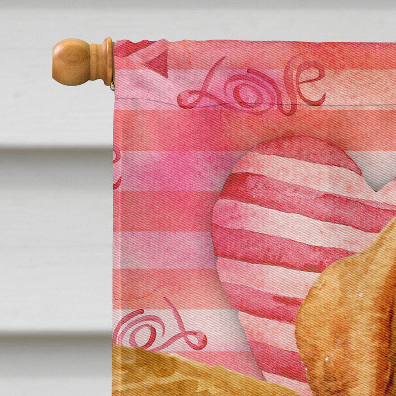 Golden Retriever Love Flag Canvas House Size BB9751CHF