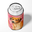 Rhodesian Ridgeback Love Can or Bottle Hugger BB9763CC
