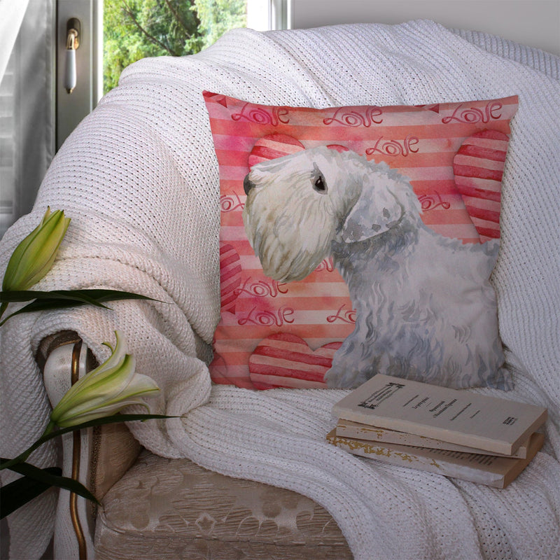 Sealyham Terrier Love Throw Pillow - 14x14 Decorative Pillow – Art for Your Home & Patio BB9771PW1414