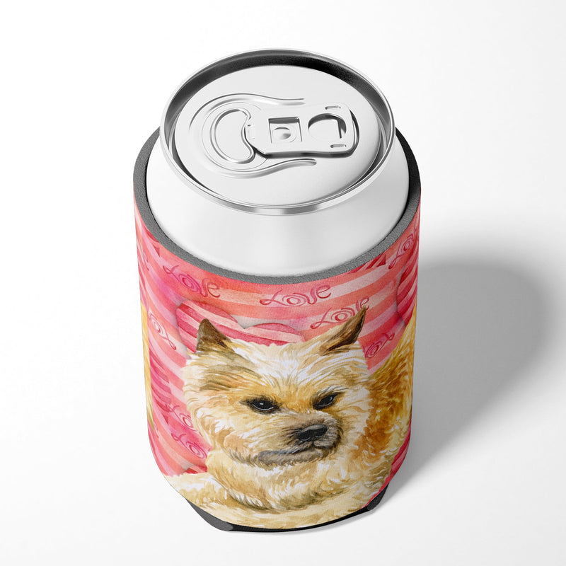 Cairn Terrier Love Can or Bottle Hugger BB9777CC