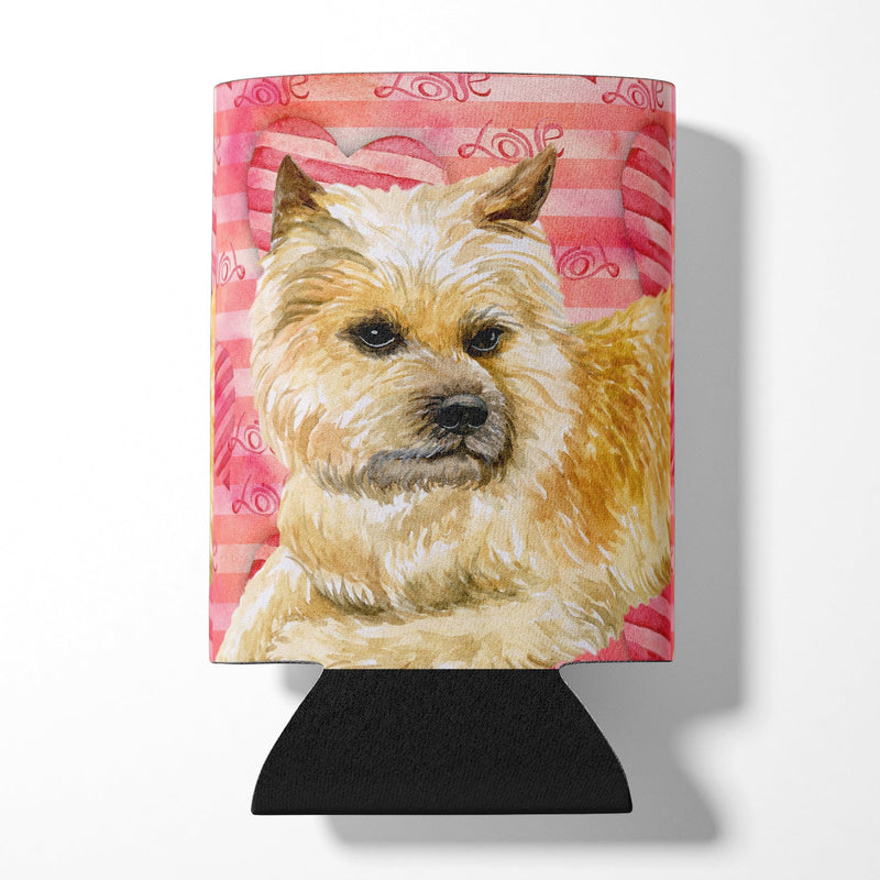 Cairn Terrier Love Can or Bottle Hugger BB9777CC