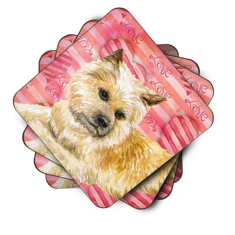 Cairn Terrier Love Foam Coaster  BB9777FC