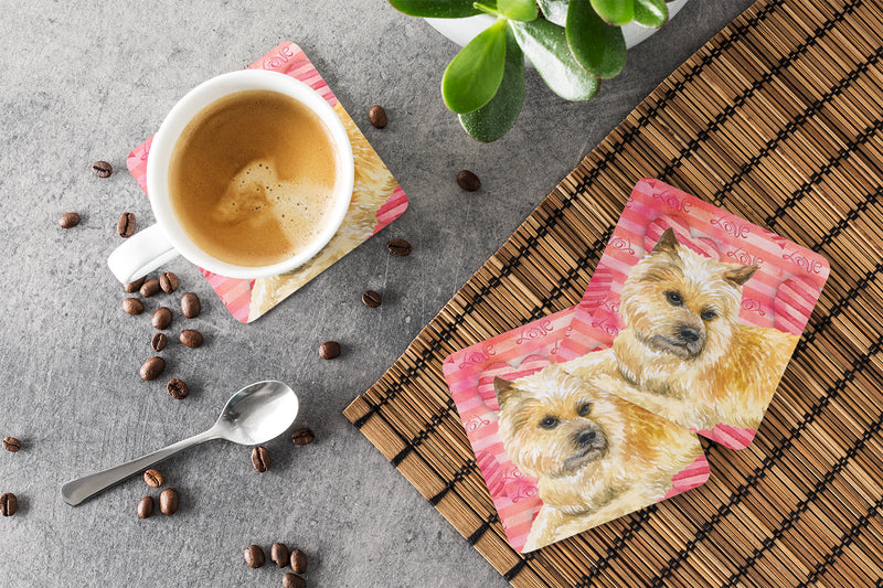 Cairn Terrier Love Foam Coaster  BB9777FC