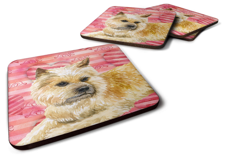 Cairn Terrier Love Foam Coaster  BB9777FC