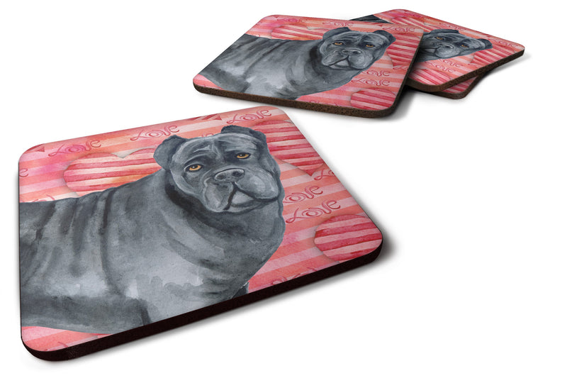 Cane Corso Love Foam Coaster  BB9781FC