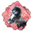 Newfoundland Puppy Love Foam Coaster  BB9786FC