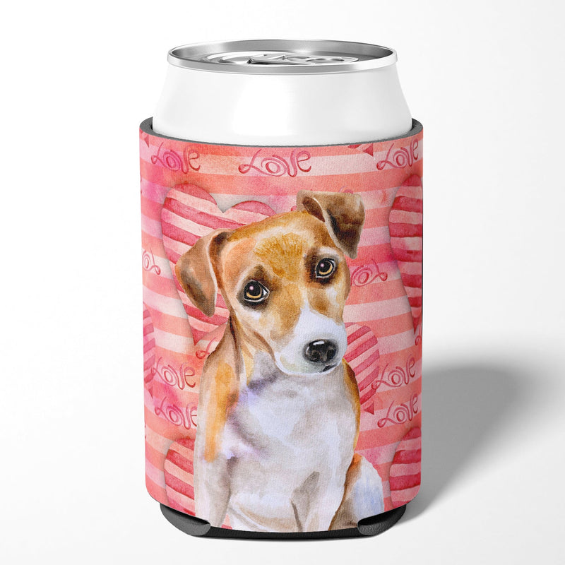 Jack Russell Terrier