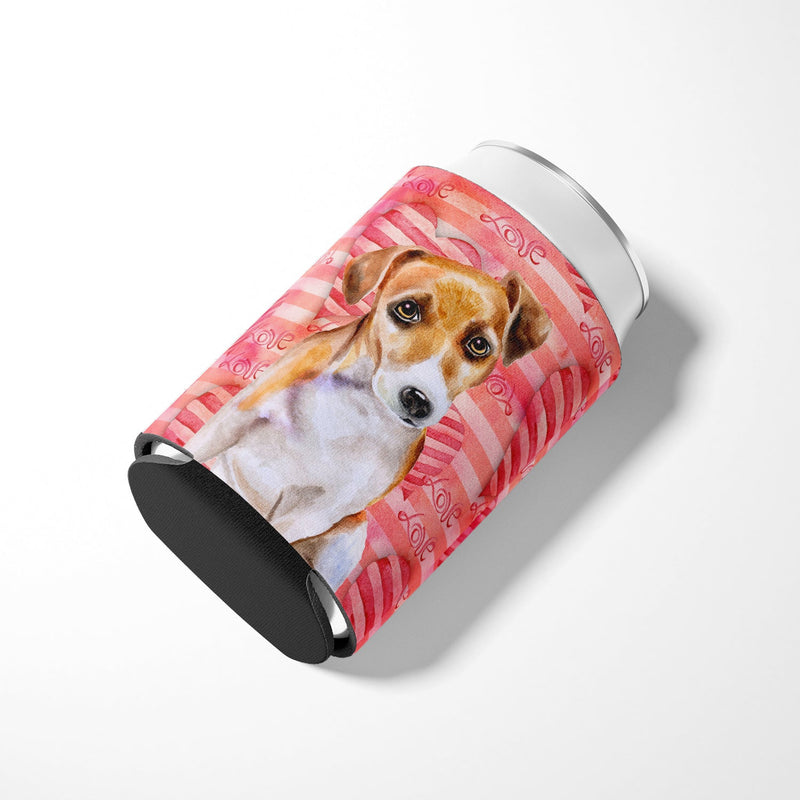 Jack Russell Terrier