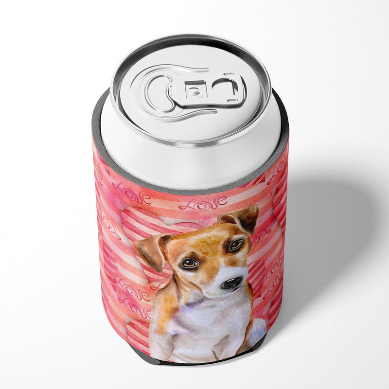 Jack Russell Terrier