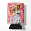 Jack Russell Terrier