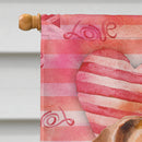 Jack Russell Terrier