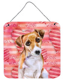 Jack Russell Terrier